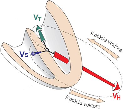 Ventricular systole and main heart vector