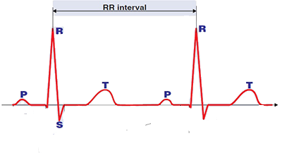RR interval si inteval between two peak r wave