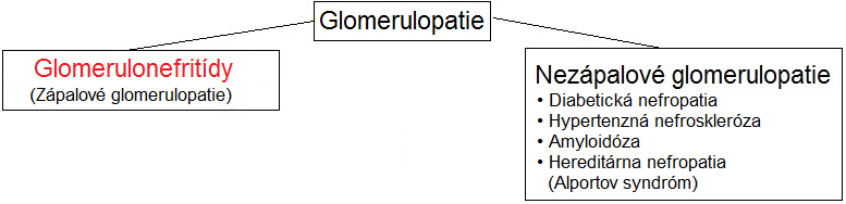 glomerulopatie, glomerulonefritídy rozdelenie